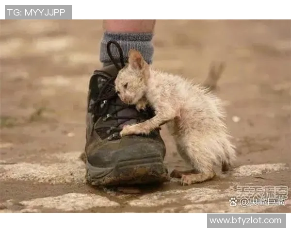 街头美食与足球明星的奇妙邂逅大爷的故事让人感动又温暖